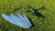 HJK-Speedwings Big Monster Tragflächenschutztasche